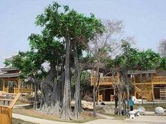 园林景观雕塑找哪家 供应福建造型优美的园林景观雕