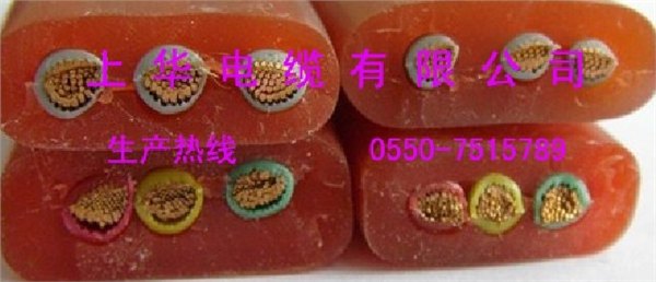 ZR/NH-YGCYJP上华国标电缆ZAN-YGCYJR