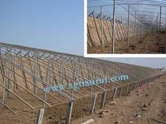 温室大棚建造——口碑好的种菜用温室大棚推荐