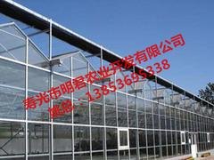 山东温室大棚：山东精湛的智能温室大棚