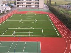 上哪找专业的塑胶跑道工程：甘肃塑胶跑道哪家好