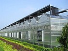 智能温室建造技术哪家好，寿光智能温室建造