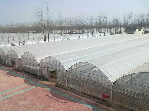 [圆形温室建造][圆形温室建造厂家][山东圆形温