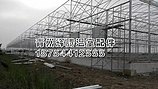 速来LOOK！葡萄温室大棚工程【葡萄温室大棚施工
