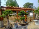 来锦绣园林，买优质的防腐木花架：优质防腐木花架
