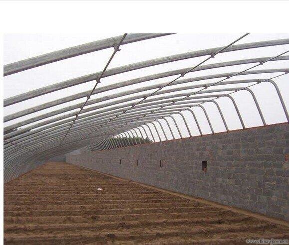枸杞温室大棚，找辉腾建造，“2016一定红”！！