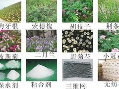 精品护坡草种批发推荐_供应护坡草籽