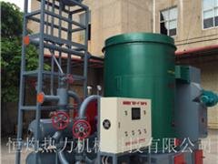 河北燃生物质锅炉 使用方便的60万大卡生物质导热