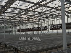 去哪找比较好的温室大棚建设，温室大棚造价