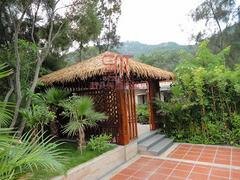 仿真茅草价格|高质量的仿真茅草尽在深美特