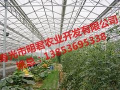 寿光温室大棚建造|明君农业优质的PC阳光板温室大
