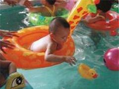 定西婴儿游泳池，有品质的游泳池在哪买