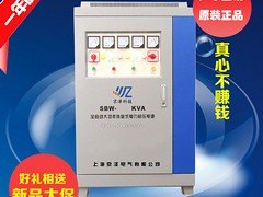 1KVA大功率稳压器_精湛的自耦式稳压器浙江供应