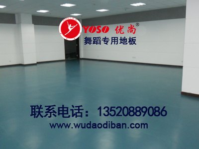 厂家直销儿童舞蹈专业胶地板,便宜舞蹈专用地胶,舞蹈练功房专用地胶