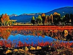陕西合格的稻城亚丁双卧九日游服务公司    ，亚