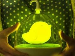 优质的发光陶瓷，谨谦科技供应_发光陶瓷低价甩卖