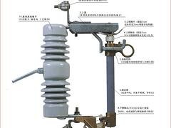 大量供应品质好的跌落式熔断器|售卖跌落式熔断器