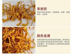 要买的合庆堂虫草花，微绿生物科技公司是您上好的选