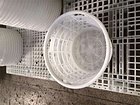 广西价格实惠的水果塑料箩筐上哪买|水果塑料箩筐厂