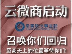 福建性价比超高的思埠天使之魅品牌外贸思埠天使之