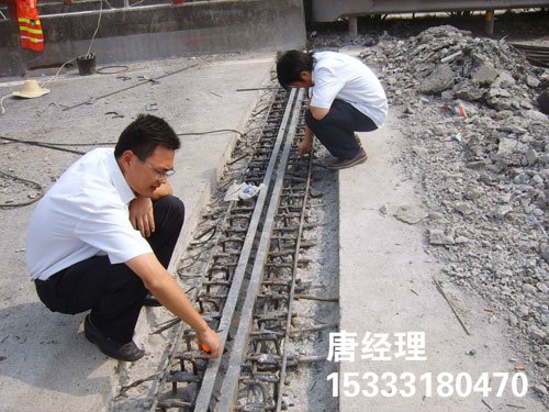 泰安伸缩缝国内销售冠军