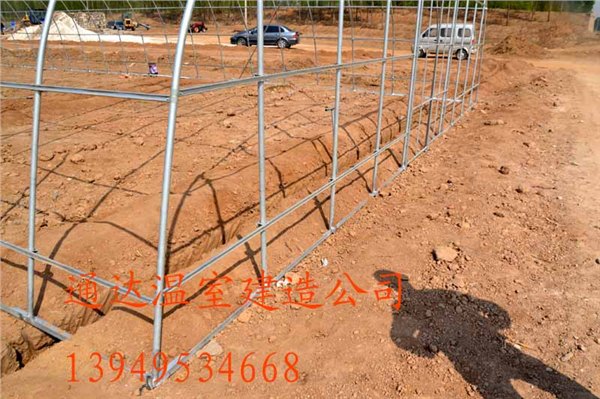 通达农业建设塑料大棚连体拱棚预算施工