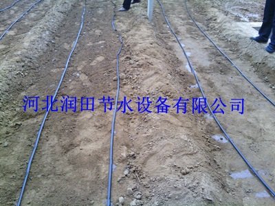 北京昌平区滴灌设备滴水软带设备质优价廉