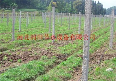 河北邯郸鸡泽县优质滴水管道报价厂家