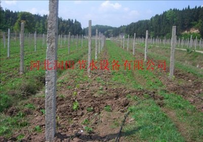 河北邯郸鸡泽县滴水管道设备安装