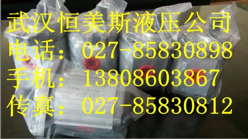 榆树P233RP01DT,NIHONSPEED定量齿轮泵
