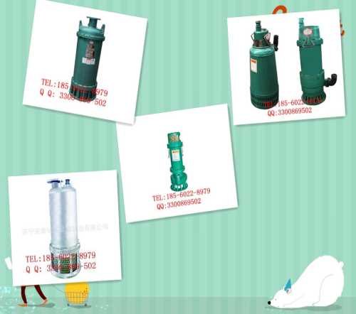 BQS矿用防爆潜水排污泵厂家/山东矿用防爆潜水排污泵报价