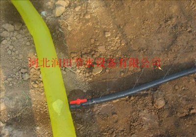 湖北十堰郧西县喷水软带图片批发采购