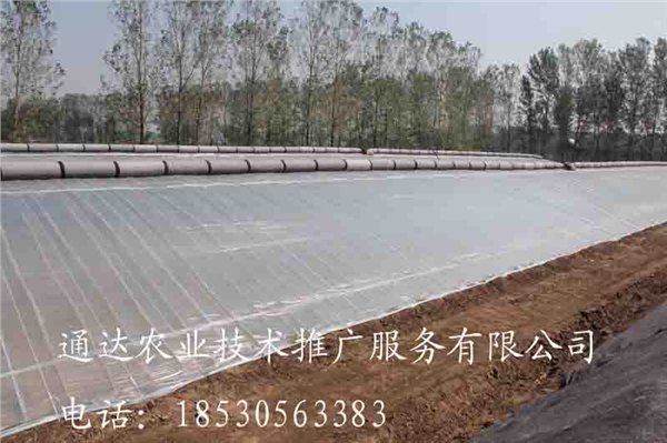 漯河建造蔬菜大棚报价几字钢温室建造厂家