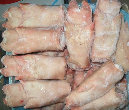 冷冻猪蹄冷冻猪蹄批发厂家进口猪蹄批发冷冻猪副产品批发厂家