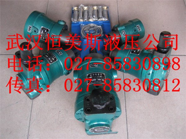 轴向柱塞泵100YCY14-1B