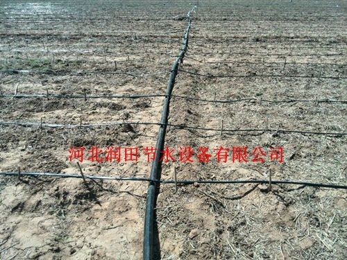 河北沧州肃宁县土豆浇水软带规格