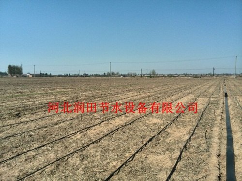 河北沧州肃宁县促销土豆浇水软带价格