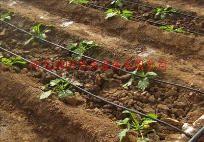 北京延庆县蔬菜【滴灌管品牌】价格供应商