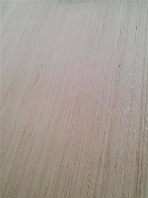 临沂多层板供应/临沂扬帆木业