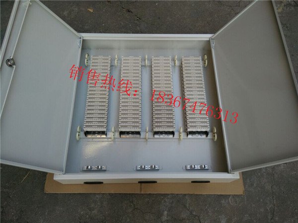 800对电话分线箱《双开门》卡接式电话分线箱图片
