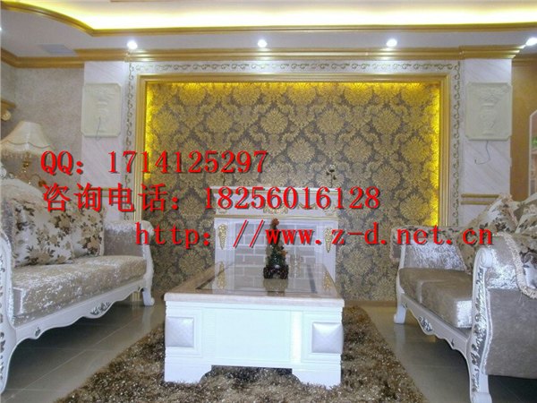 中鼎艺术涂料家门，涂料产品工艺，艺术涂料加盟