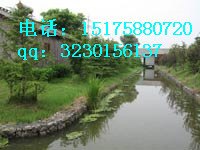 湘潭雷诺护垫厂家专业生产占据市场领先水平值得信赖