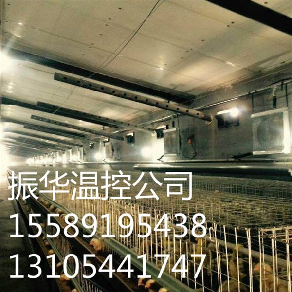 供应平顶山养鸡供暖锅炉名声在外