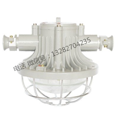 供应DGS36/127L矿用隔爆型LED巷道灯 36W锥形