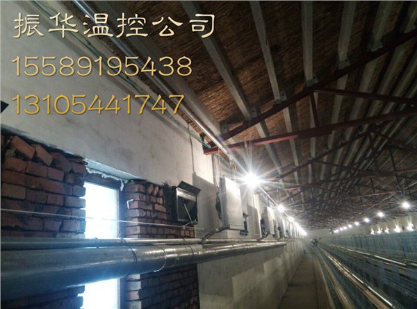 供应信阳养猪升温锅炉专业从事
