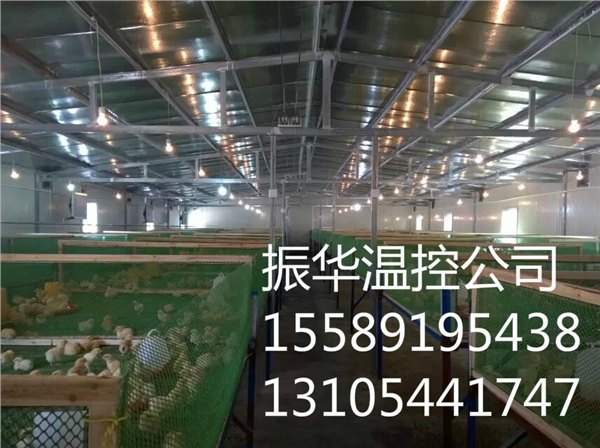 供应育雏取暖锅炉最给力