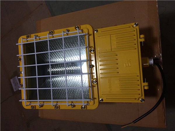 BTC6150防爆泛光灯吸顶式250W400W