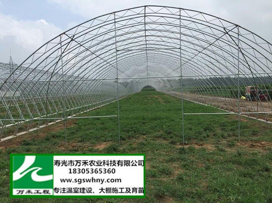 供应大棚建设   全钢架蔬菜大棚    寿光市万禾农业