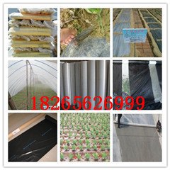 山东青州棚膜