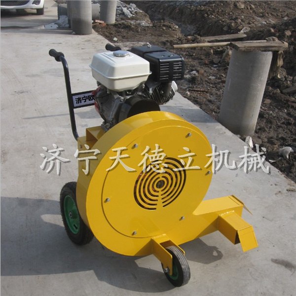 天德立供应汽油马路吹风机手推式汽油路面吹风机大功率路面吹风机